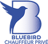 BlueBird